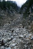 A rock slide valley on Mt Rainier